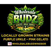 LIMITED TIME ONLY!!! BEST BUDGET FRIENDLY OPTIONS