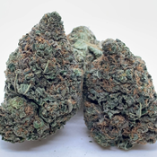 *NEW* Florida Cake