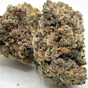  *NEW* Death Valley OG 3A
