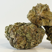 Blue Tuna Fin | Value Buds | $50 for 14 grams | $90 an ounce | $130 for 2 ounces | $225 for 4 ounces | $375 for 8 ounces | $650 a pound | thumbnail 2