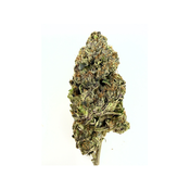 PINK ROCKSTAR LSO ( AAAAA )