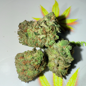 *******PHANTOM GAS*** thumbnail 2