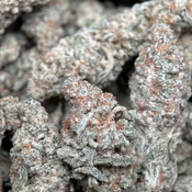 (28G) -  Astro Biscotti 👽🍪Hybrid - Qp Bulk Deal for $200 thumbnail 2