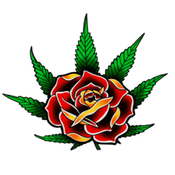 Eden Rose Dispensary - South