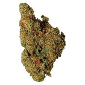 Apricot Cream & Cheese 1:1 CBD 3.5g