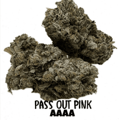 PASS OUT PINK LSO  AAAA 