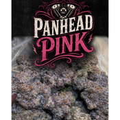 Panhead Pink 