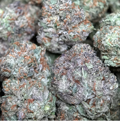 14G - Sweet Gas⛽️😮‍💨Indica | 2Oz Bulk Deal for $240 thumbnail 3