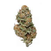 Mango Haze