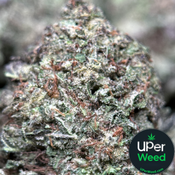 (28G) - Death Star ☠️⭐⛽ Indica | 4Oz Bulk Deal for $200 thumbnail 4