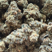 GASTROPOP ***SUPER SALE*** 60OZ 2FOR110 4FOR200 8FOR380 1LB700