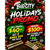 HOLIDAYS PROMO
