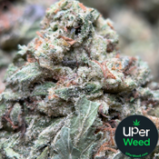 (28G) - BC Pink Kush Indica⛽| 4Oz Bulk Deal for $200