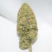 Cinderella 99 Sativa Dominant Hybrid AAA+ 