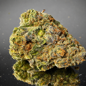 MAC N Cheese - Hybrid 50% Indica / 50% Sativa - THC 29%