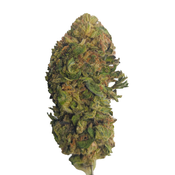 BC (AAA) JUNGLE MINTS thumbnail 2