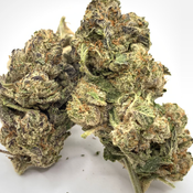 *NEW* Killer New Haven 3A