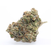 Alaskan Pink - Premium AAAA ⛽️