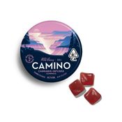 Camino Wild Berry "Chill" Gummies