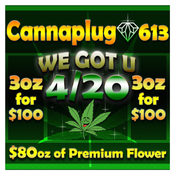 CannaPlug 613