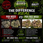 !!PGR WEED FILLED IN WINDSOR!!