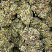 Animal Tsunami ( AAAA Exotic) - 2oz @ $160, 4oz @ $300