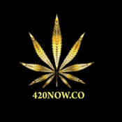 420Now