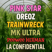 $200 FOR 4OZ MIX & MATCH DEAL