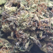 (NEW) A.T.F aka Alaskan Thunderf*%$ 🏔 ($75/Oz) 🔥  thumbnail 3