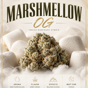      4oz for $160! - MARSHMELLOW OG (AAA) - 🔥HOT DEAL🔥
