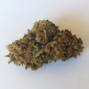 Acapulco Gold (AAA+)
