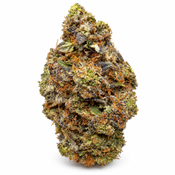 Coastal Pink • Indica • 29–33% THC • 1 OZ $100 • 2 OZ $180 thumbnail 2