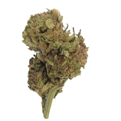 BC (AAA+) SLURRICRASHER thumbnail 2