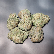 Blackout OG 