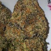 Astro Pink
