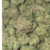 ASTRO PINK GAS 70OZ 2FOR130 4FOR250 thumbnail 2