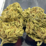 *NEW* Fruit Punch 3A 