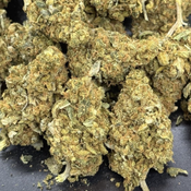  Buy 3oz Get 1oz Free - Orange Apricot - 60$ oz (SALE) 