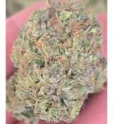 DUCT TAPE GAS 140oz 2for260 4for500