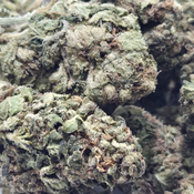 (NEW) Fight Club 🥷 $75/Oz thumbnail 3