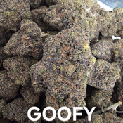 Goofy Indica Dominant 