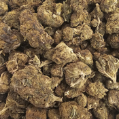 Irene OG (Mega Value) - 2oz @ $40, 4oz @ $60, 8oz @ $100, 16oz @ $180
