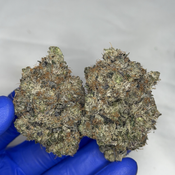 !$135/oz Pink Gak