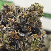 (NEW) Deadman Walking 💀🥀 ($200/Oz) 🔥 