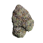 Biscotti Gelato | 5A DEAL