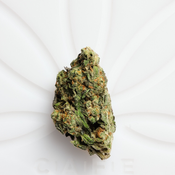 DEAL OF THE MONTH  thumbnail 2