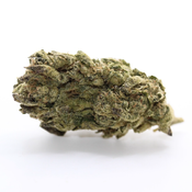 Citrus Skunk - AAA