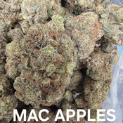 Mac Apple Indica Dominant