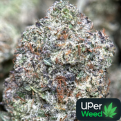 14G - Animal Tsunami🦁🌊Indica | 2Oz Bulk Deal for $240