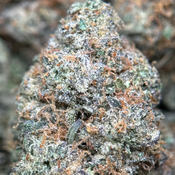 (28G) - BC Alien Cream Cake 👽⛽Hybrid | 2Oz Bulk Deal for $250 thumbnail 2